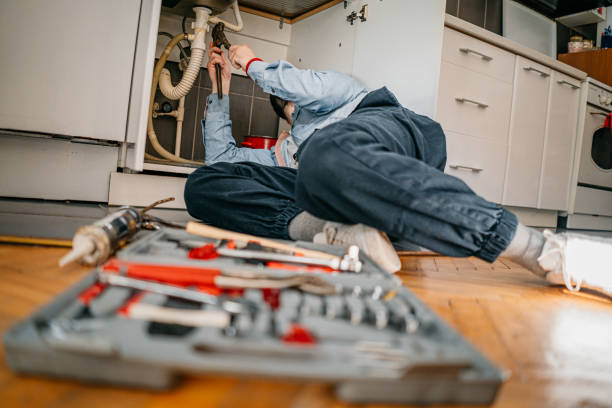 Best Local Plumber Services  in Marionville, MO